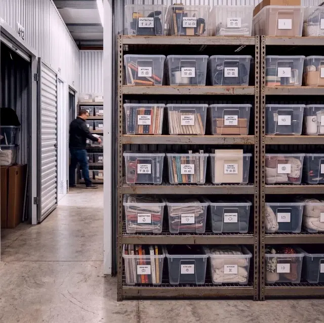 Pine Forest — Büroumzug für Tech-Unternehmen